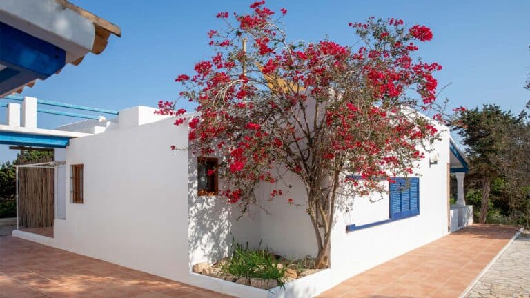 Casa Tramontana - Alojamientos Formentera