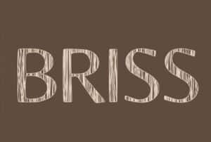 Chiringuito BRISS Formentera